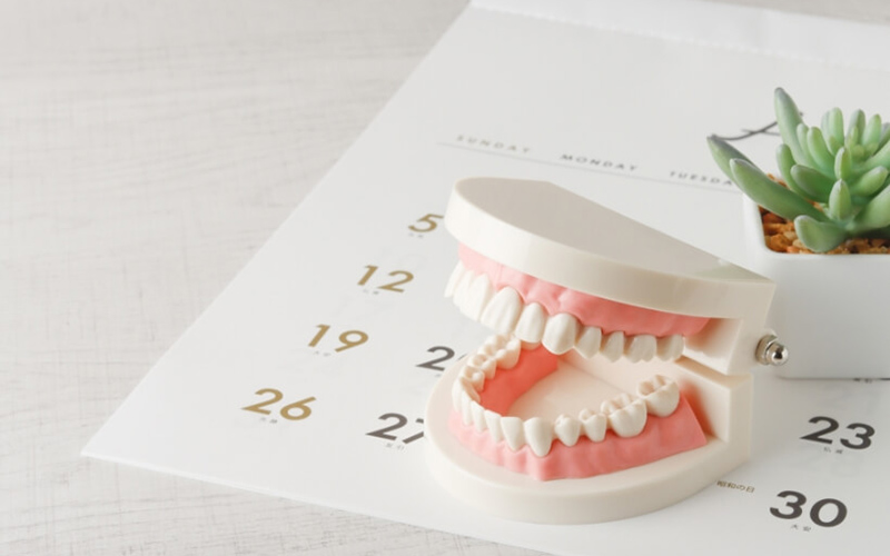 歯の検診の頻度は3カ月に1回が推奨！ その理由と検診内容や費用など