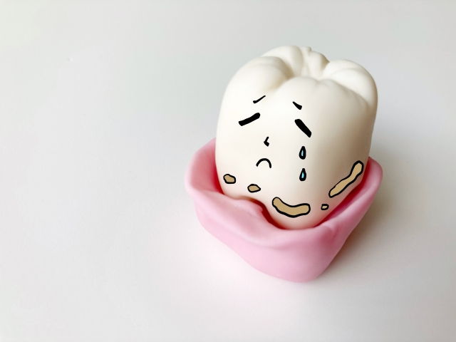歯垢が及ぼすリスクとは？ 効果的な対策や口腔内と全身健康への影響を解説